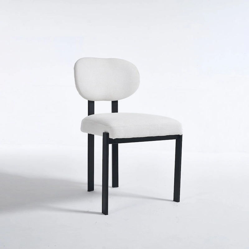 Chaises de salle à manger modernes, lot de 2
